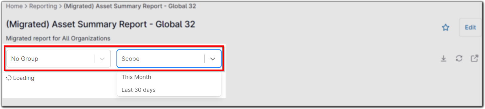 report view_global filters.png